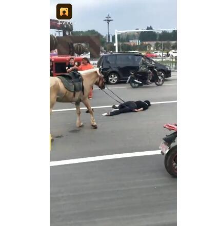 网红骑马爆料视频大全最新,揭秘马背上的精彩瞬间  第2张